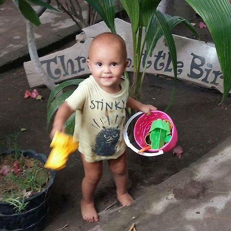 Three Little Birds Homestay Quần đảo Gili Ngoại thất bức ảnh