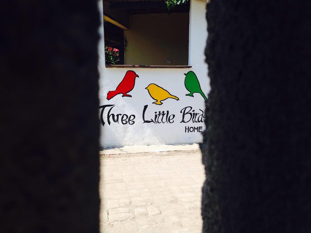 Three Little Birds Homestay Quần đảo Gili Ngoại thất bức ảnh