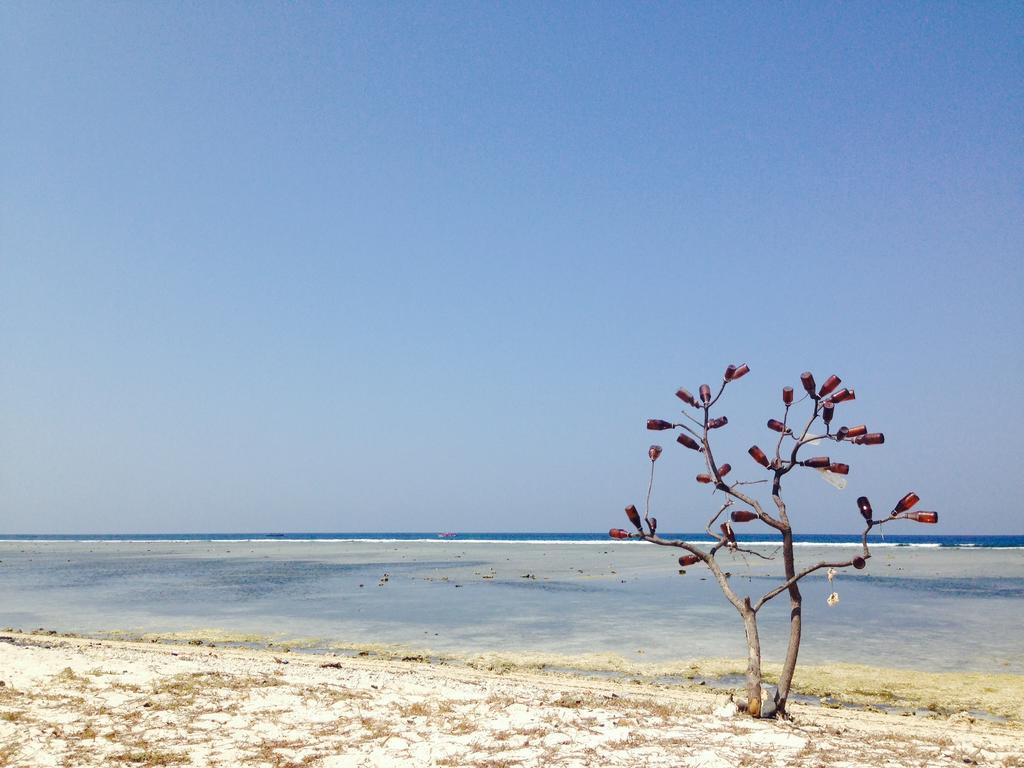 Three Little Birds Homestay Quần đảo Gili Ngoại thất bức ảnh
