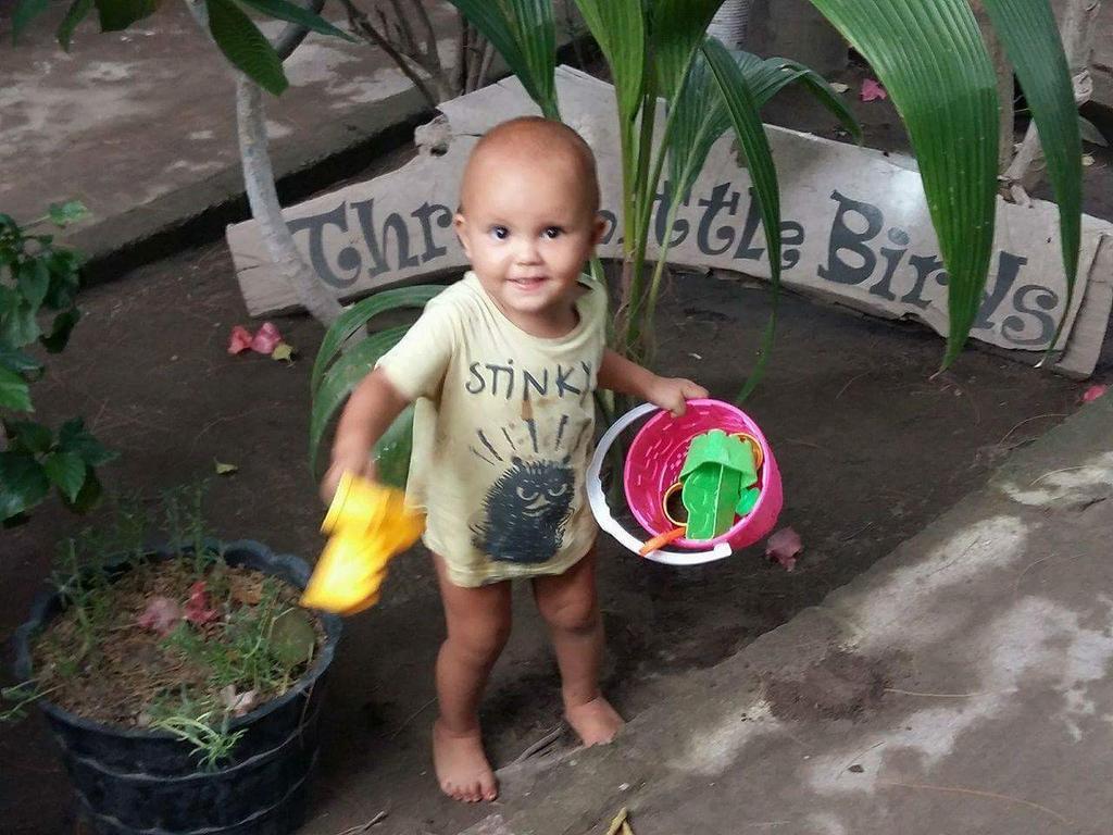 Three Little Birds Homestay Quần đảo Gili Ngoại thất bức ảnh