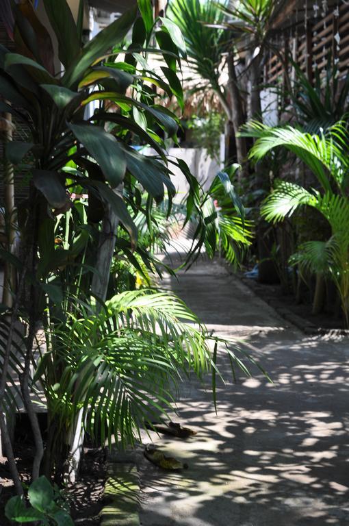 Three Little Birds Homestay Quần đảo Gili Ngoại thất bức ảnh